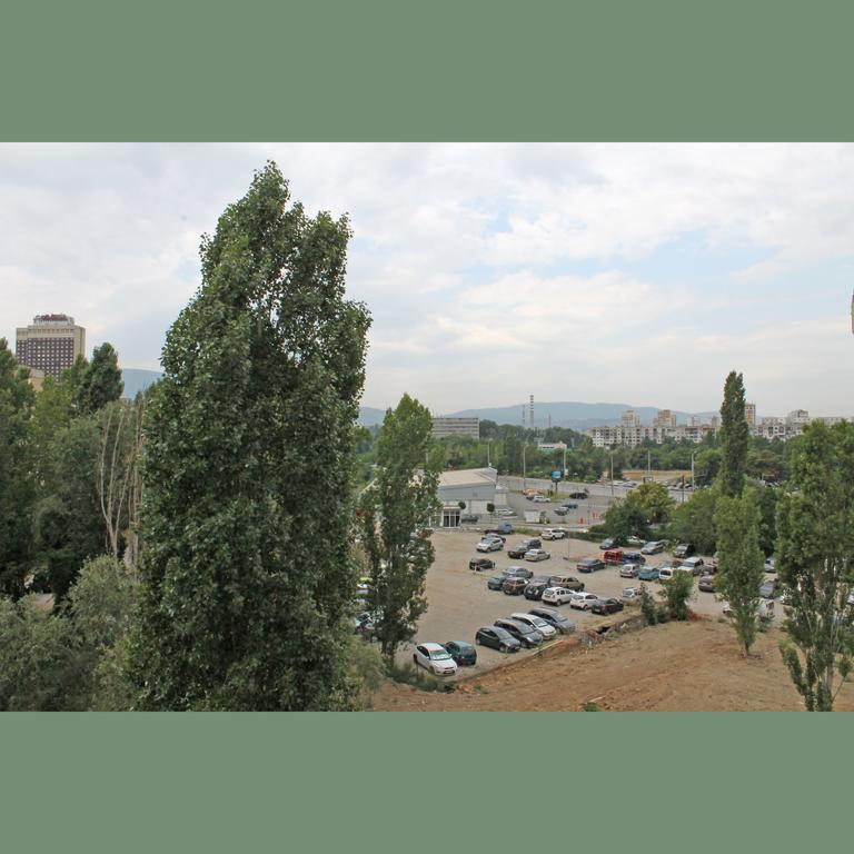 Flora Apartment Centrum Sofia Rum bild