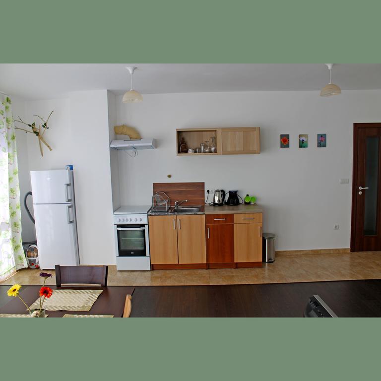 Flora Apartment Centrum Sofia Rum bild